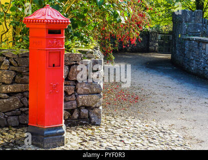 Rosso brillante irlandese casella di posta sulla strada del villaggio rivestiti con pareti in pietra con copertura di red fuchsias in fiore Foto Stock