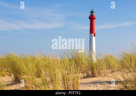 La alte La Coubre faro nelle dune con Ammophila arenaria erba selvatica, Charente Maritime, Francia Foto Stock
