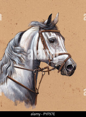 Illustrazione di un cavallo arabo. Cavallo bianco ritratto. Foto Stock