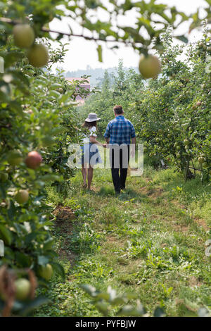 Giovane passeggiate in fattoria Foto Stock