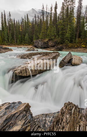 Fiume Kicking Horse, Yoho NP, British Columbia, Canada, da Bruce Montagne/Dembinsky Foto Assoc Foto Stock