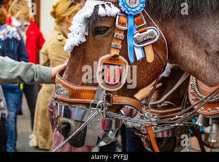 Cavallo testa decorata closeup, Oktoberfest, Baviera Monaco di Baviera Foto Stock