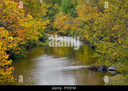 Un paesaggio orizzontale di trota torrente nel Sussex New Brunswick con le foglie di albero lungo i lati del torrente girando i colori brillanti della caduta. Foto Stock