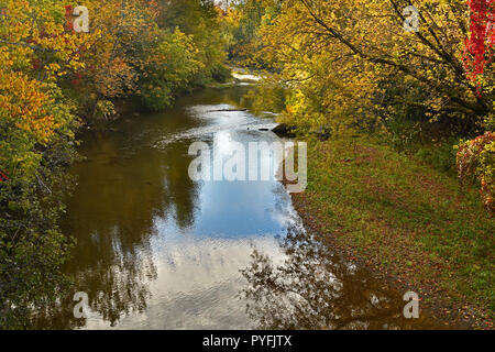 Un paesaggio orizzontale di trota torrente nel Sussex New Brunswick con le foglie di albero lungo i lati del torrente girando il luminoso i colori dell'autunno. Foto Stock