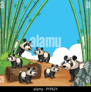 Molti panda in foresta di bamboo illustrazione Illustrazione Vettoriale