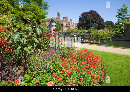 Punting sul fiume Cam in Cambridge visto da Clare College giardini con Trinity Hall College in background Foto Stock