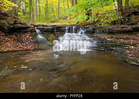 Uno dei molti scenografiche cascate lungo il zolfo Springs Creek in Bentleyville Ohio durante il picco di colori autunnali. Questa piccola cascata guarda è meglio w Foto Stock
