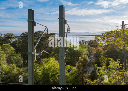 I nuovi poli in acciaio e overhead cablaggio sul Sydney rete di treni vicino stazione Gordon su Sydney frondoso della North Shore linea T1. Foto Stock