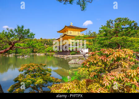 Kinkaku-ji, il Padiglione Dorato, Zen tempio buddista, si riflette nel lago. Il Rokuon-jii è uno di Kyoto più importanti templi e patrimonio Unesco. Foto Stock