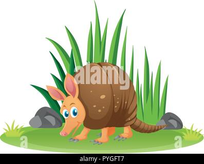 Armadillo nel giardino illustrazione Illustrazione Vettoriale