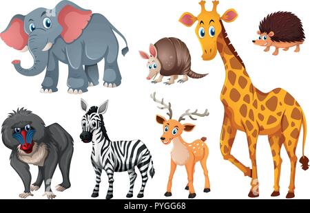 Molti tipi di animali selvatici di illustrazione Illustrazione Vettoriale