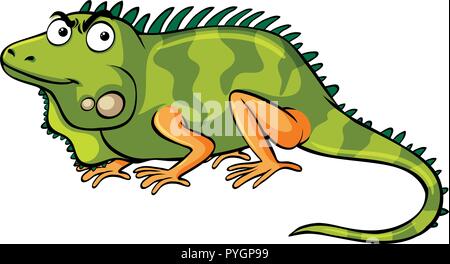 Iguana verde su sfondo bianco illustrazione Illustrazione Vettoriale