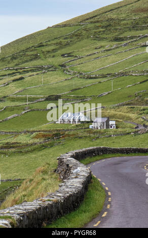 Una stretta strada che si snoda lungo la costa della penisola di Dingle in Kerry, Irlanda Foto Stock