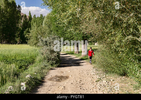 Agricoltore in maglietta rossa cammina per strada sterrata tra campi di grano in Langar in tagiko, Wakhan Pamir Highway, Tagikistan Foto Stock