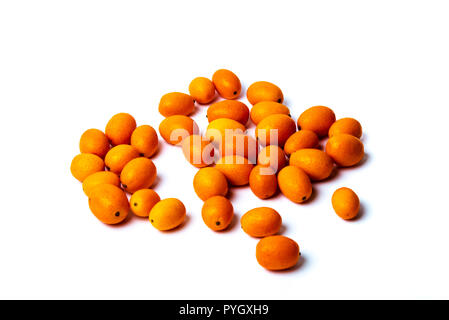 Kumquat piccole arance isolati su sfondo bianco Foto Stock