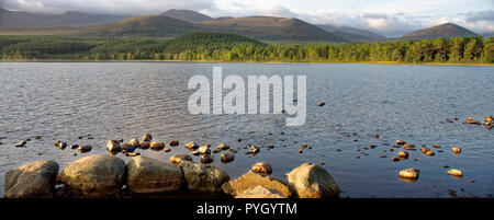 La mattina presto il sole sul Loch Morlich vista verso Cairn Lochan Rothiemurchus foresta, Cairngorms, Scozia Foto Stock