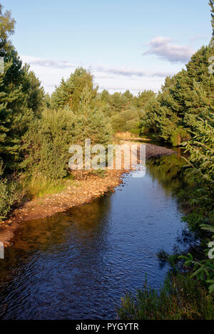 Flusso di foresta Abhainn Ruigh-eunachan est di Loch Morlich, Rothiemurchus foresta, Cairngorms, Scozia Foto Stock