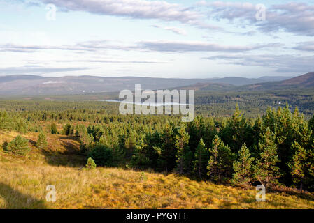 Loch Morlich & Glen More Rothiemurchus foresta, Cairngorms, Scozia Foto Stock