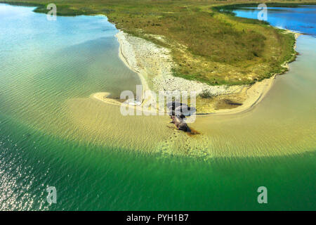 Vista aerea della South African ippopotamo famiglia. Cape ippopotamo dormire su di una spiaggia di St Lucia Estuary in iSimangaliso Wetland Park, Sud Africa. New Scenic 5 posti volo turistico. Foto Stock