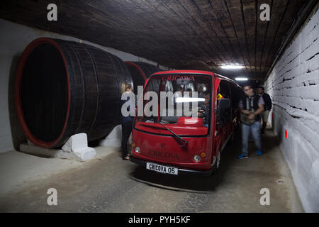 Repubblica di Moldova, Cantina Cricova SA Foto Stock