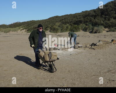 Gli uomini la raccolta di legno deriva da Burnham on sea beach Foto Stock