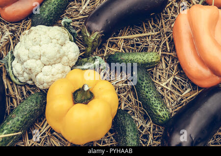 Verdure colorate e fieno. La mietitura. Diversi ortaggi: pepe, pomodoro, cetriolo, melanzana, cavolfiore, cavolo Foto Stock