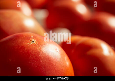 Bistecca di manzo pomodori sul visualizzatore in corrispondenza di un bordo strada farm stand nel Paese Amish, Lancaster County, Pennsylvania, STATI UNITI D'AMERICA Foto Stock