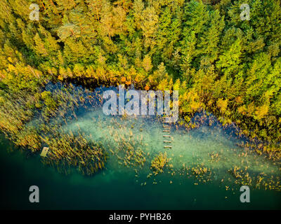 Antenna vista dall'alto del lago di Gela costa con alberi caduti, riflettendo le nuvole e la foresta vicino la città di Vilnius, Lituania Foto Stock