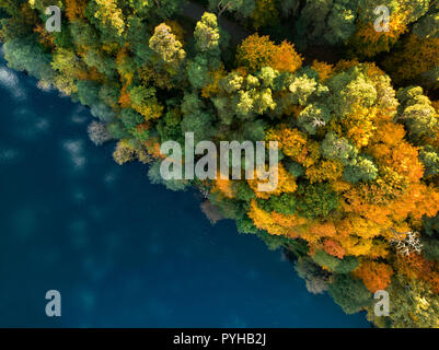 Antenna vista dall'alto del lago di Gela costa con alberi caduti, riflettendo le nuvole e la foresta vicino la città di Vilnius, Lituania Foto Stock