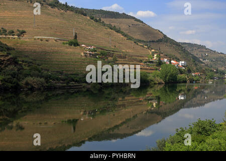 Il Portogallo Douro, Pinhao. Dettaglio del fiume Douro con vigneti in riflessi sull'acqua. UNESCO - Sito Patrimonio dell'umanità. Foto Stock