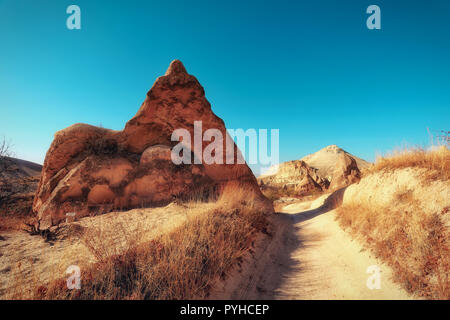 Cappadocia, Turchia. Fata camino. Multihead di funghi di pietra nella Valle dei monaci. Valle di Pasabag Foto Stock