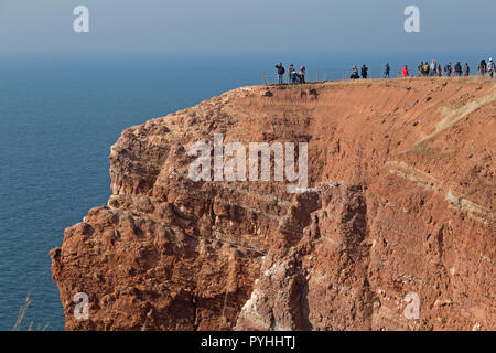 Lummenfelsen (Uria rocce), Isola di Helgoland, Schleswig-Holstein, Germania Foto Stock