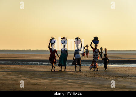 Silhouette nera di donne che trasportano prendere sulle loro teste a piedi lungo la spiaggia con la bassa marea Foto Stock