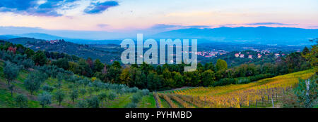 Tramonto vista panoramica su Cavriglia e Valdarno da una collina coperta di ulivi e vigneti in autunno, Toscana, Italia Foto Stock