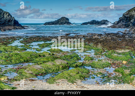 Questo seascape mostra il lato più selvaggio della costa della Cornovaglia a Porthmear sulla costa nord. Alga marrone e verde muschio, piscine di roccia e mare blu abbondano. Foto Stock