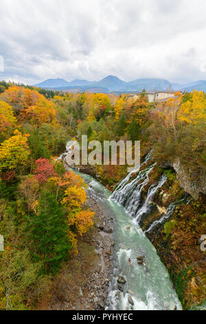 Bella cascata Shirahige e albero colorato in autunno, Biei,, Giappone Foto Stock