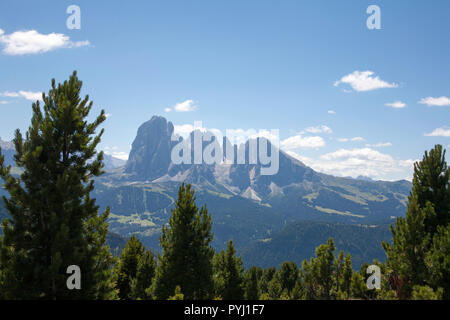 Il Sassolungo Sassopiatto Gruppo delle Sella e Marmolada dal Rasciesa sopra la Val Gardena Estate Dolomiti Italia Foto Stock