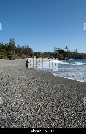 A sud della spiaggia in Pacific Rim Parco nazionale sull'Isola di Vancouver, British Columbia, Canada. Foto Stock