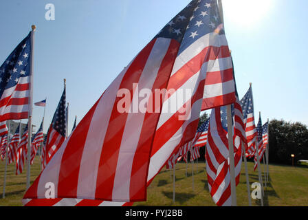 Un campo di bandierine americane Foto Stock