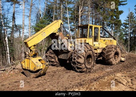 Un John Deere 548G la benna mordente trascinatronchi parcheggiato su un registro fangoso di sbarco nelle Montagne Adirondack, NY, STATI UNITI D'AMERICA foresta. Foto Stock