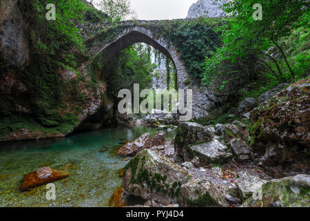 Puente La Jaya, Rio Cares, Picos de Europa, Asturias, Spagna, Europa Foto Stock