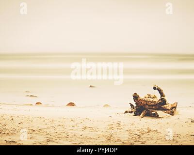 Il vecchio albero tronco lavato fino al mare sul vuoto spiaggia di sabbia. Pietre taglienti stick fino dal buon livello d'acqua. Foto Stock