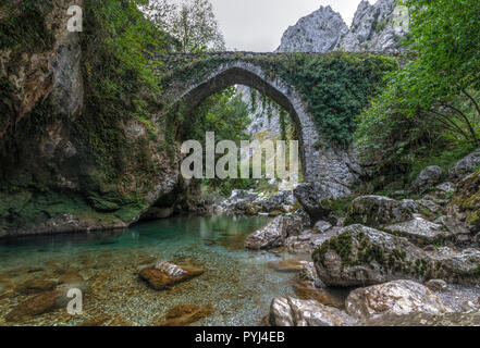 Puente La Jaya, Rio Cares, Picos de Europa, Asturias, Spagna, Europa Foto Stock