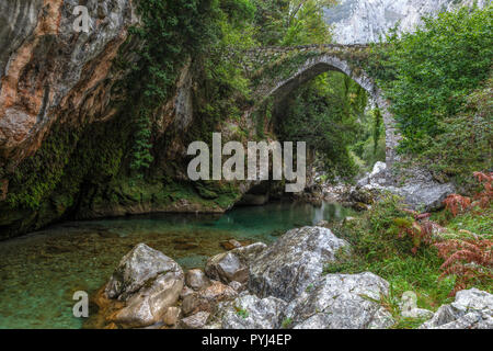 Puente La Jaya, Rio Cares, Picos de Europa, Asturias, Spagna, Europa Foto Stock