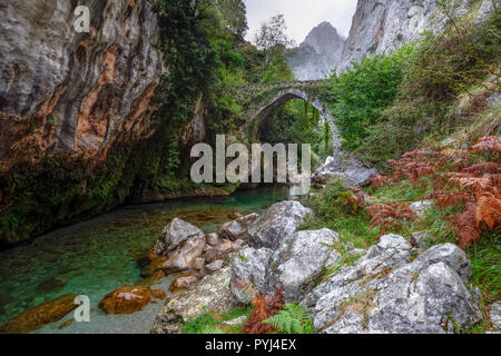 Puente La Jaya, Rio Cares, Picos de Europa, Asturias, Spagna, Europa Foto Stock