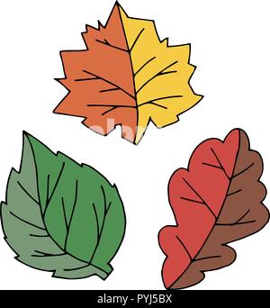 Vettore di foglie colorate. Illustrazione per bambini. Foglie di autunno cartoni animati. Illustrazione Vettoriale