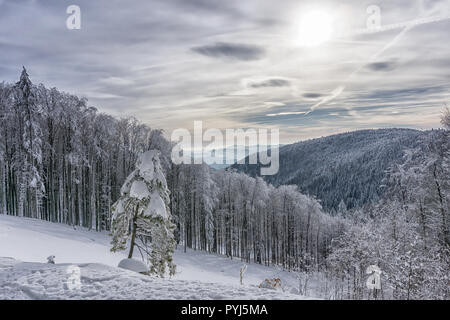 In inverno il paesaggio di montagna con alberi coperti di brina e drammatico cielo nuvoloso. Foto Stock
