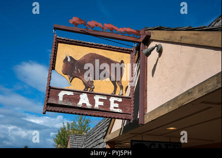 Cafe firmare con i bufali nei coregoni, Montana Foto Stock