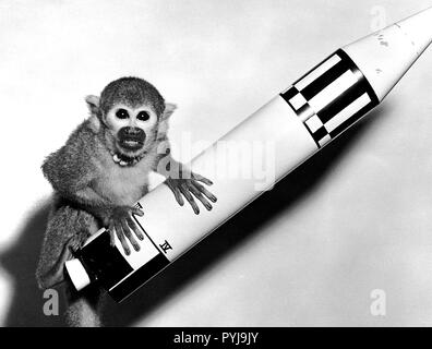 Monkey Baker, payload di Giove (EM-18), pone su un modello di veicolo di Giove, 29 maggio 1959 Foto Stock