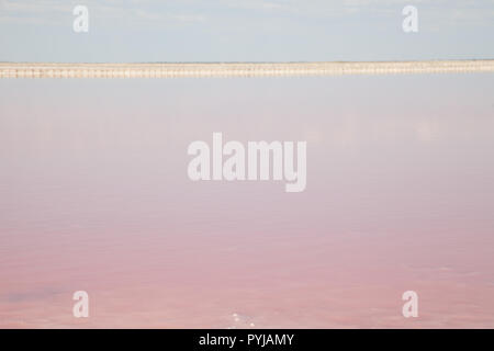 Rosa lago di acqua salata sfondo rosa z x Foto Stock